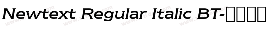 Newtext Regular Italic BT字体转换